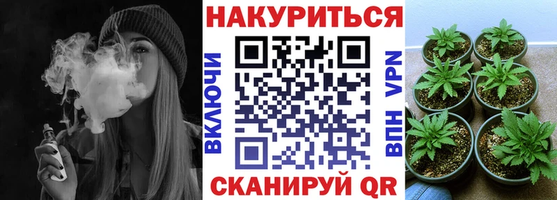 Продажа наркотиков Эртиль ГАШИШ Альфа ПВП МЕФ МАРИХУАНА Галлюциногенные грибы COCAIN