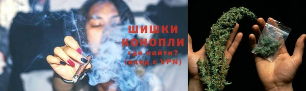 спайс Магас