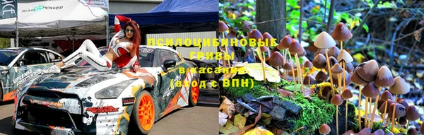 шишки Магадан