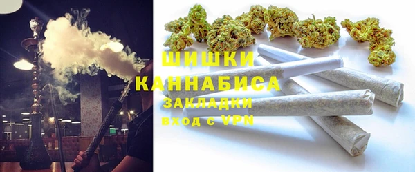 шишки Магадан