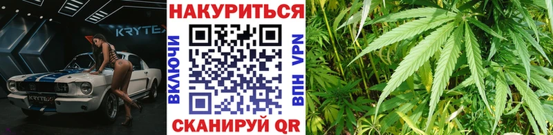 как найти наркотики  Эртиль  Бошки Шишки Amnesia 
